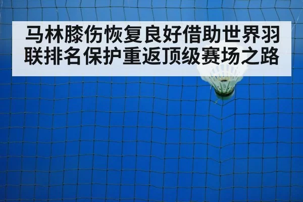 马林膝伤恢复良好借助世界羽联排名保护重返顶级赛场之路
