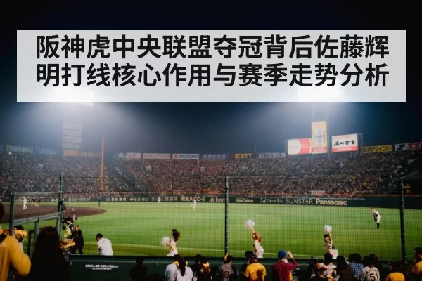baseball stadium crowd night