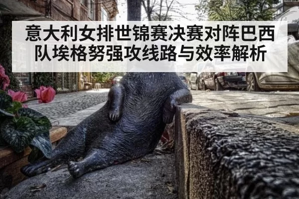意大利女排世锦赛决赛对阵巴西队埃格努强攻线路与效率解析